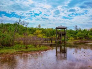Davey, Ne 18 Cullinan Park 1