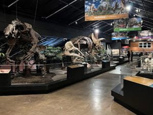 Wilber, Ne 16 Houston Museum of Natural Science at Sugar Land 1