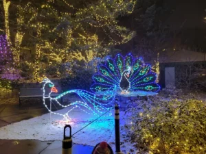 Lincoln Childrens Zoo